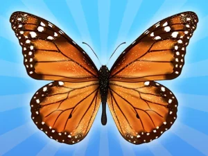 MergeButerfly: 2048!
